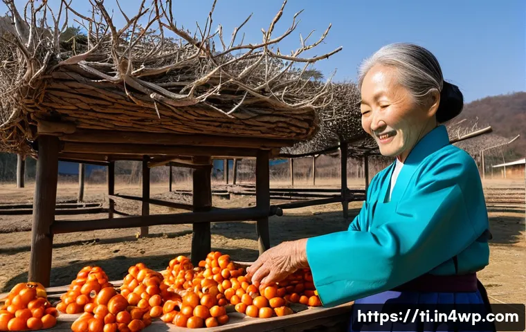 건조 식품의 역사적 의미와 변화 - **Prompt:** A serene, sun-drenched scene in a traditional Korean village. An elderly Korean woman, w...
